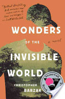 Wonders of the invisible world